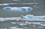 Blocos de gelo que caíram da geleira flutuam no lago Viedma, no Parque Nacional Los Glaciares, região de El Chaltén, no sul da Argentina